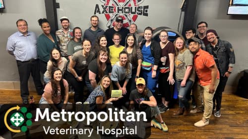 Team Event and Company Event axe throwing near Akron, Ohio